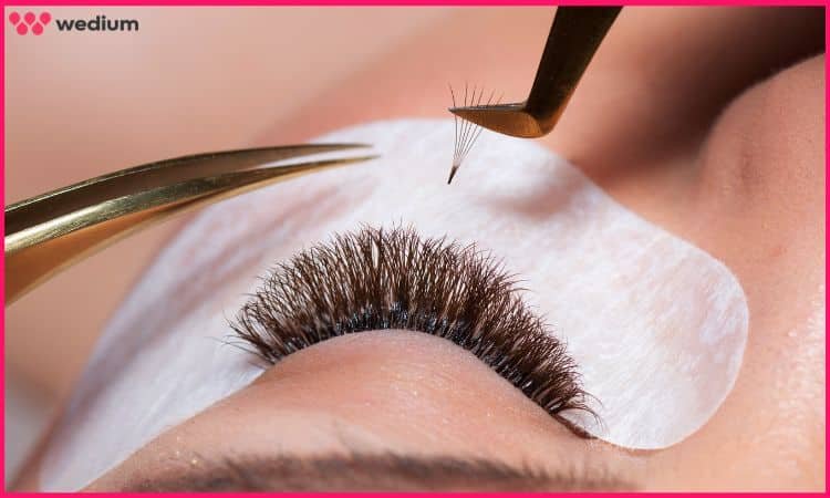 Lush Lashes