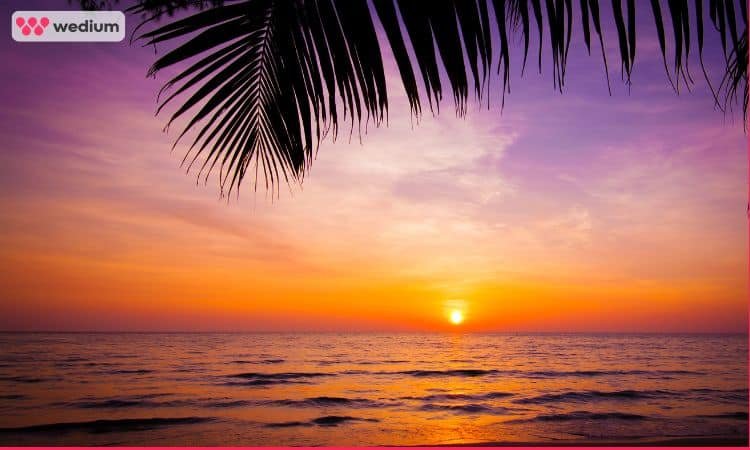 sunset at the beach